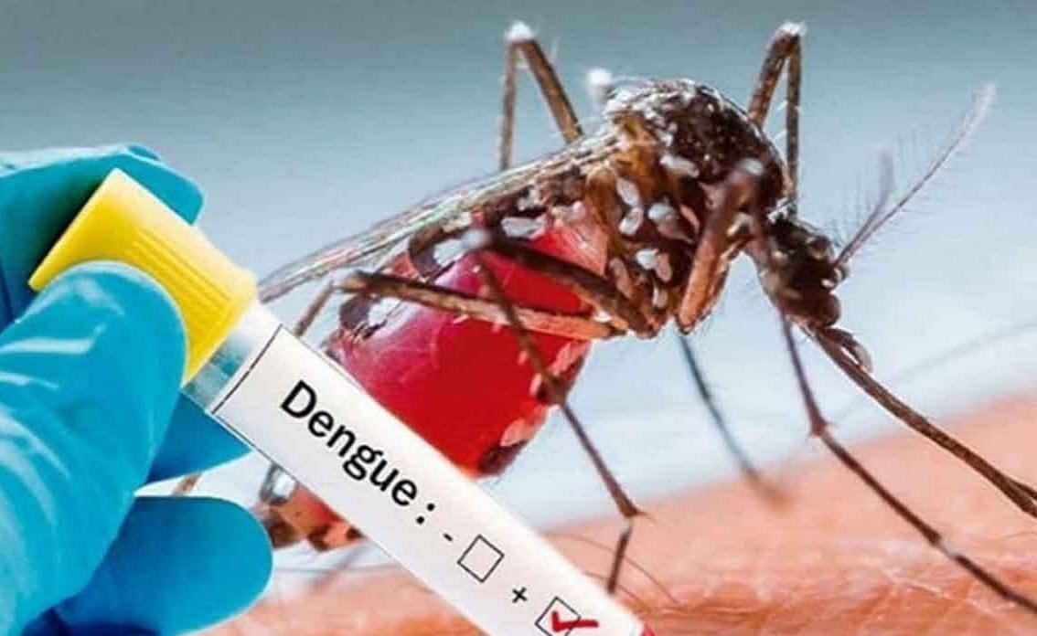 Dengue virus Kolkata কলকাতায় ডেঙ্গু আক্রান্তের মৃত্যু।